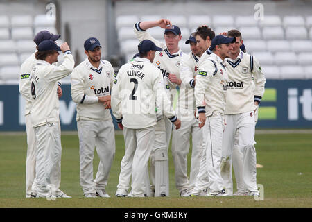 Gloucestershire-Spieler feiern das Wicket Ben Foakes - Essex CCC Vs Gloucestershire CCC - LV County Championship Division zwei Cricket im Essex County Ground, Chelmsford - 04.11.13 Stockfoto