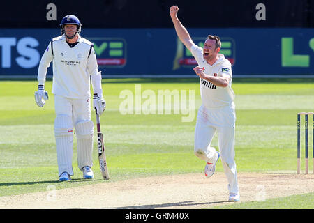 David Masters of Essex feiert das Wicket des Ex-Essex Spieler Adam Wheater - Essex CCC Vs Hampshire CCC - LV County Championship Division zwei Cricket im Essex County Ground, Chelmsford - 05.01.13 Stockfoto