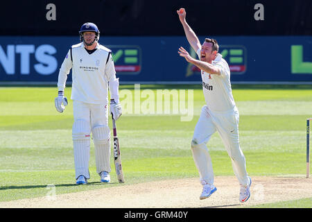 David Masters of Essex feiert das Wicket des Ex-Essex Spieler Adam Wheater - Essex CCC Vs Hampshire CCC - LV County Championship Division zwei Cricket im Essex County Ground, Chelmsford - 05.01.13 Stockfoto