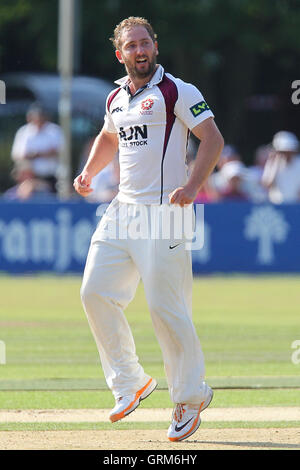 Steven Crook von Northants feiert das Wicket Gautam Gambhir - Essex CCC Vs Northamptonshire CCC - LV County Championship Division zwei Cricket am Schlosspark, Colchester Cricket Club - 21.08.13 Stockfoto