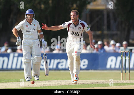 Steven Crook von Northants feiert das Wicket Ravi Bopara - Essex CCC Vs Northamptonshire CCC - LV County Championship Division zwei Cricket am Schlosspark, Colchester Cricket Club - 21.08.13 Stockfoto