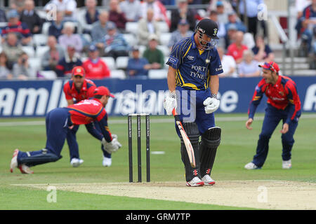 James Foster von Essex nimmt einen Fang zu Phil Mustard Bowling Graham Napier - Essex Adler Vs Durham Dynamos - Yorkshire Bank YB40 Cricket im Essex County Ground, Chelmsford - 13.08.13 entheben Stockfoto