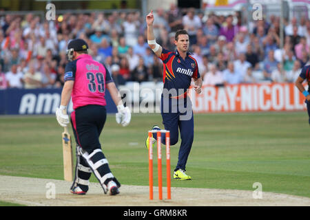 Shaun Tait von Essex feiert das Wicket Paul Stirling - Essex Adler Vs Middlesex Panthers - Freunde Leben T20 Cricket im Essex County Ground, Chelmsford - 07.12.13 Stockfoto