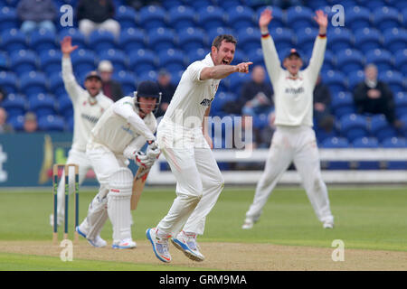 Eine starke Anziehungskraft von David Masters von Essex für das Wicket Marcus North - Glamorgan CCC Vs Essex CCC - LV County Championship Division zwei Cricket an der Swalec Stadium, Cardiff, Wales - 17.05.13 Stockfoto