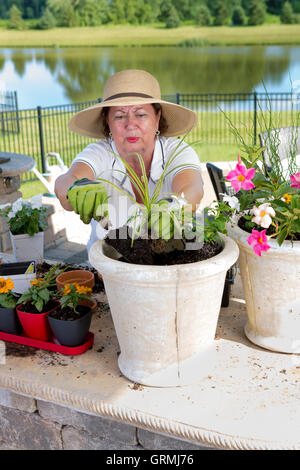 Attraktive senior Lady in einem Stroh Sonnenhut Blumenerde von Zimmerpflanzen in große Pflanzgefäße zur Anzeige auf ihrer Terrasse Töpfe füllen Stockfoto