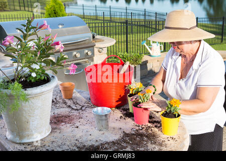 Aktive senior Trägerin, Strohhut und legere Sommerkleidung, während Blumenerde dekorative gelbe kleine Blüten, als Erholungsgebiet Stockfoto