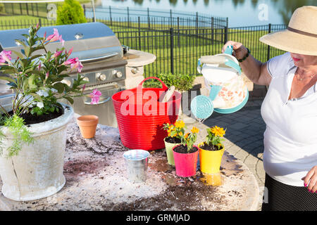 Ältere Dame in einen großen Sonnenhut Bewässerung Topfpflanzen neu mit einer Giesskanne in die Outdoor-Küche auf ihrer Terrasse Stockfoto