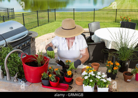 Erhöhte Ansicht eines Gärtners Dame trägt einen breitkrempigen Sonnenhut Stroh Blumenerde neue Pflanzen auf einer Außenterrasse an der Theke Stockfoto