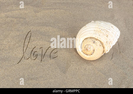 Geschriebene Wort "Love" auf Sand des Strandes mit Muschel. Selektiven Fokus. Stockfoto