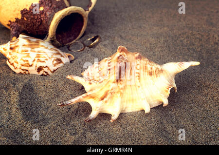 Muscheln und Amphora mit goldenen Ringen in den Sand am Strand. Selektiven Fokus. Stockfoto