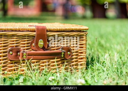 Korb Picknickkorb mit Ledergriff In Grasgrün Stockfoto
