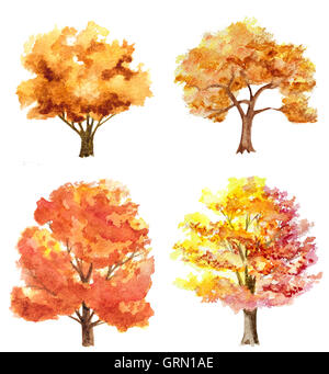 Satz von Aquarell hand gezeichnete Herbst Bäume isoliert auf weiss Stockfoto