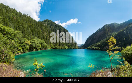 Panda Lake, Jiuzhaigou Nationalpark, Szechuan, China. Stockfoto