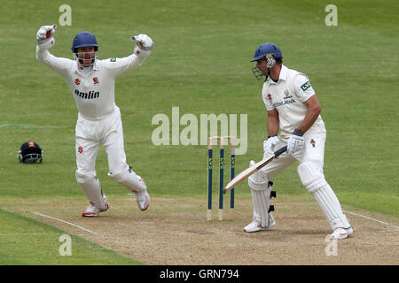 James Foster von Essex hält sich an einen Haken, Glamorgan Schlagmann Stewart Walters aus dem Bowling von Tim Phillips - Glamorgan CCC Vs Essex CCC - LV County Championship Division zwei Cricket auf das Swalec Stadium, Cardiff, Wales - 17.05.13 entlassen Stockfoto