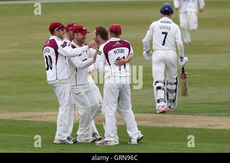 Steven Crook von Northants feiert das Wicket James Foster mit seinen Teamkollegen - Northamptonshire CCC Vs Essex CCC - LV County Championship Division zwei Cricket auf dem County Ground, Northampton - 17.04.13 Stockfoto