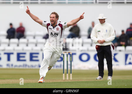 Steven Crook von Northants feiert das Wicket Ravi Bopara - Northamptonshire CCC Vs Essex CCC - LV County Championship Division zwei Cricket auf dem County Ground, Northampton - 17.04.13 Stockfoto