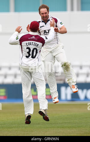 Steven Crook von Northants feiert das Wicket Ravi Bopara mit Kyle Coetzer - Northamptonshire CCC Vs Essex CCC - LV County Championship Division zwei Cricket auf dem County Ground, Northampton - 17.04.13 Stockfoto