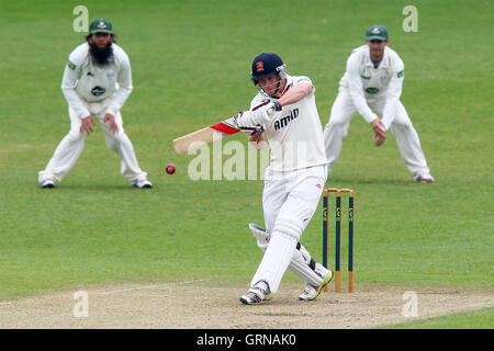 Tom Westley trifft für Essex - Worcestershire CCC Vs Essex CCC - LV County Championship Division zwei Cricket in New Road, Worcester - 30.05.13 Stockfoto