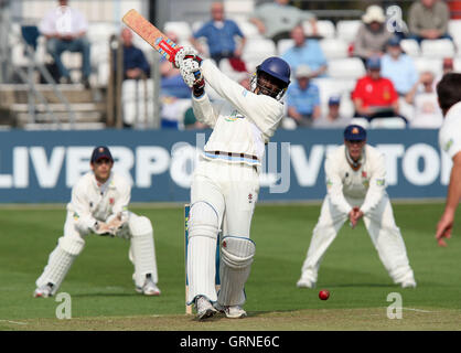 Wavell Hinds Fledermäuse für Derbs - Essex CCC Vs Derbyshire CCC - LV County Championship Cricket bei Ford County Ground, Chelmsford, Essex - 15.04.09 Stockfoto