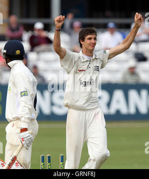 Steven Finn von Middlesex feiert das Wicket Essex Schlagmann Varun Chopra - Essex CCC Vs Middlesex CCC - LV County Championship Cricket auf dem Ford County Ground, Chelmsford - 06.08.09 Stockfoto