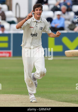 Steven Finn von Middlesex feiert das Wicket Varun Chopra - Essex CCC Vs Middlesex CCC - LV County Championship Cricket auf dem Ford County Ground, Chelmsford - 06.08.09 Stockfoto