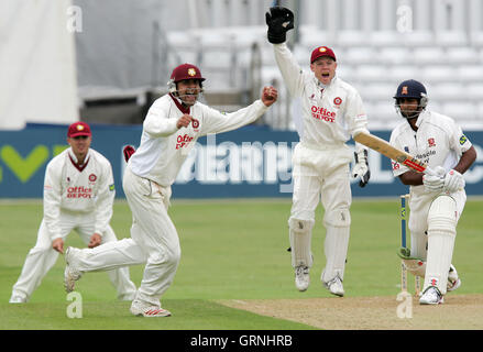 Usman Afzaal (2. von links) von Northampton appelliert erfolglos für das Wicket Essex Schlagmann Varun Chopra - Essex CCC Vs Northamptonshire CCC - LV County Championship an Ford County Ground, Chelmsford, Essex - 06.06.07 Stockfoto