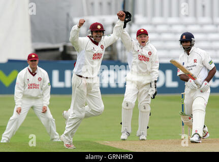 Usman Afzaal (2. von links) von Northampton appelliert erfolglos für das Wicket Essex Schlagmann Varun Chopra - Essex CCC Vs Northamptonshire CCC - LV County Championship an Ford County Ground, Chelmsford, Essex - 06.06.07 Stockfoto