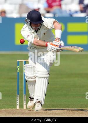 Ian Harvey von Derbyshire - Essex CCC Vs Derbyshire CCC - LV County Championship bei Ford County Ground, Chelmsford, Essex - 18.04.07 Stockfoto