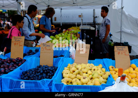 Gemüse und Obst zu verkaufen in Union Square Green Market.Manhattan,New York City, USA Stockfoto