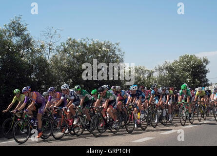 Radfahrer konkurrieren in einem Rennen auf dem Land außerhalb Valencia in Spanien 1. August 2016. Copyright Foto John Voos Stockfoto