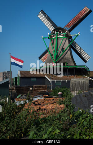 Holländische Windmühle für Holzfällen in Zaanse Schans, Niederlande Stockfoto