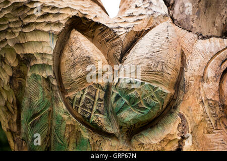 Eine Holzschnitzerei, erstellt von einem toten Baum auf dem Gelände des Schloss Ashby House, Northamptonshire Stockfoto