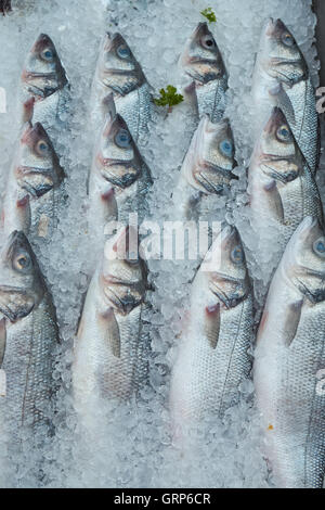 Frischer Fisch auf Eis am Fischfang Stockfoto