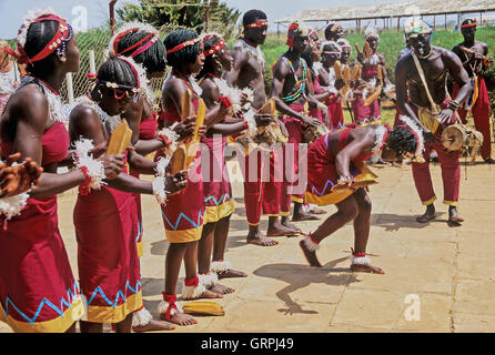 Mandinka tribal-Tänzerinnen, Gambia, Westafrika Stockfoto