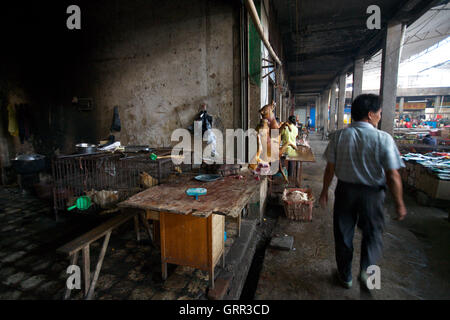 Hundefleisch hängt auf einem Markt in Yangshou, China, während Leben Hunde in einem Käfig hinter ihr Schicksal erwarten. Die Hunde sind ertrunken, bevor Sie gekocht werden. Stockfoto