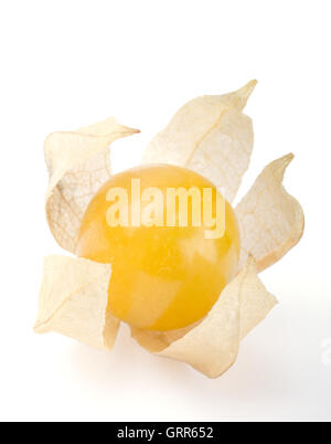 Physalis Beeren auf weißem Hintergrund. Essbare Reife Frucht der Physalis Peruviana, eine Pflanze in der Familie der Nachtschattengewächse. Stockfoto