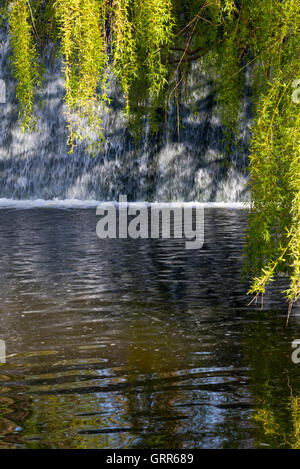 Ein Wehr auf der Fluss-Sid in "The Byes Riverside Park' in Sidmouth an Devons jurassic coast Stockfoto
