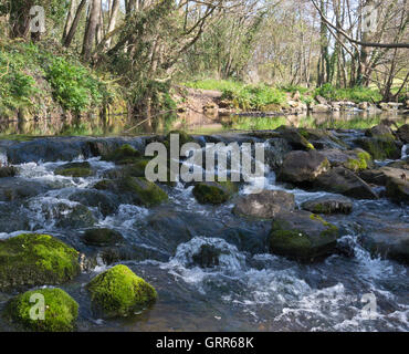 Unten am Ufer des Flusses Sid in Margarets Wiese, Teil von The Byes Riverside Park in Sidmouth an Devons jurassic Coast Stockfoto