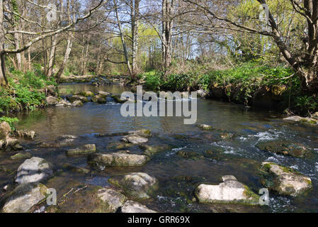 Unten am Ufer des Flusses Sid in Margarets Wiese, Teil von The Byes Riverside Park in Sidmouth an Devons jurassic Coast Stockfoto