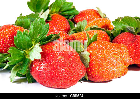 Nahaufnahme der Studioaufnahme von neun frische Bio rote Erdbeeren mit grünen Blättern auf weißem Hintergrund Stockfoto
