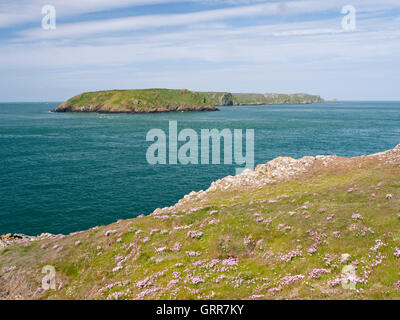 Blick vom Wooltack Point Skomer Island Marine Nature Reserve, Pembrokeshire Coast National Park, Wales. Stockfoto