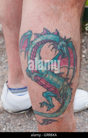 Wales, Waliser Drache Tattoo am Bein des Mannes Stockfoto