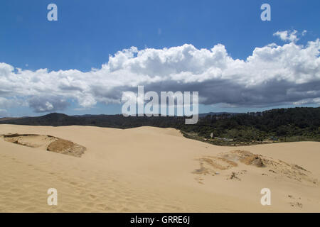 Ansicht von oben von der riesigen Te Paki Sanddüne auf der Nordinsel in Neuseeland Stockfoto
