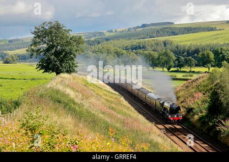 Flying Scotsman Dampflok Eingabe ein schneiden. Whitchester, Haltwhistle, Newcastle & Carlisle Railway, Northumberland, England. Stockfoto