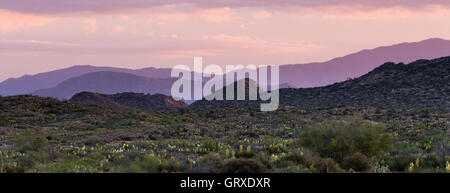 Sunrise Aufleuchten der Landschaft über die Tortilla-Berge auf dem Arizona-Trail im Süden Arizonas. Stockfoto