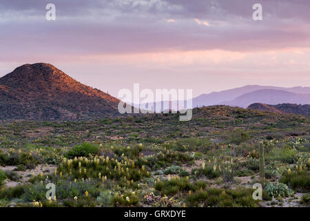 Sunrise Aufleuchten der Landschaft über die Tortilla-Berge auf dem Arizona-Trail im Süden Arizonas. Stockfoto