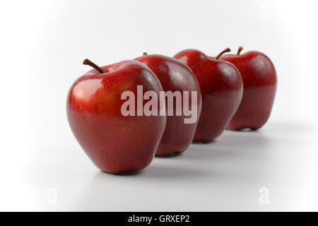 vier glänzende rote Äpfel hintereinander Stockfoto