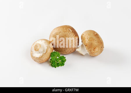 Römische braune Champignons Stockfoto