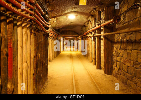 Salzbergwerk Wieliczka bei Krakau in Polen. Stockfoto