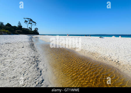 Die berühmten weißen Sandstrand von hyams Beach im malerischen Jervis Bay, New South Wales, NSW, Australien Stockfoto